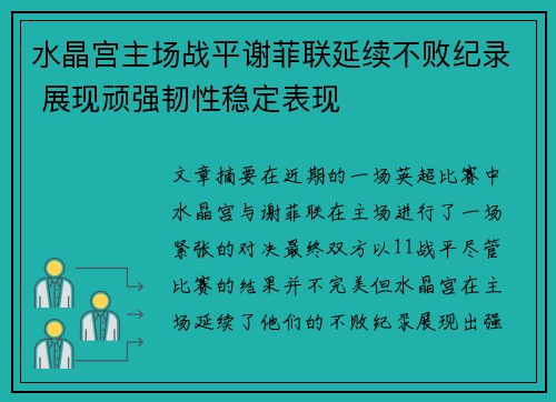 水晶宫主场战平谢菲联延续不败纪录 展现顽强韧性稳定表现