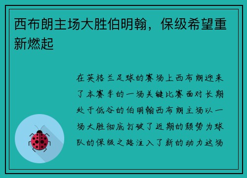 西布朗主场大胜伯明翰，保级希望重新燃起